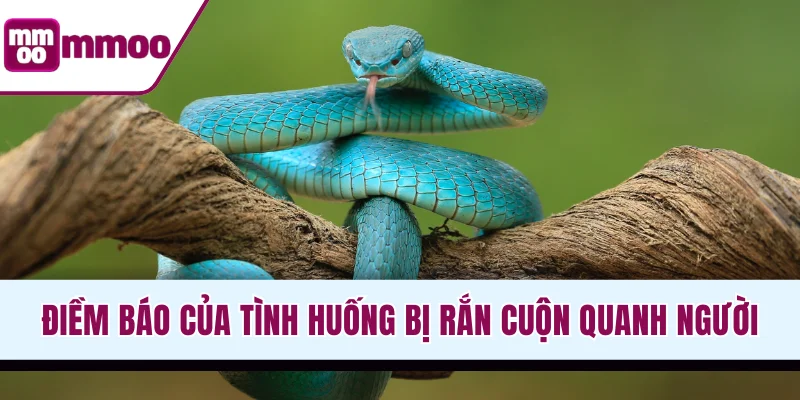 Điềm báo của tình huống bị rắn cuộn quanh người